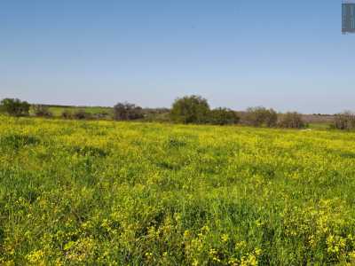 Non abbiamo visto ancora nulla per�, perch� i fiori pi� belli ci attendono a 20 km da qui, in direzione Corato. Quando arriviamo ci troviamo immersi in una zona pi� verde e pianeggiante della precedente